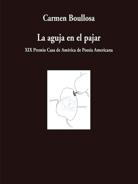 la-aguja-en-el-pajar-portada