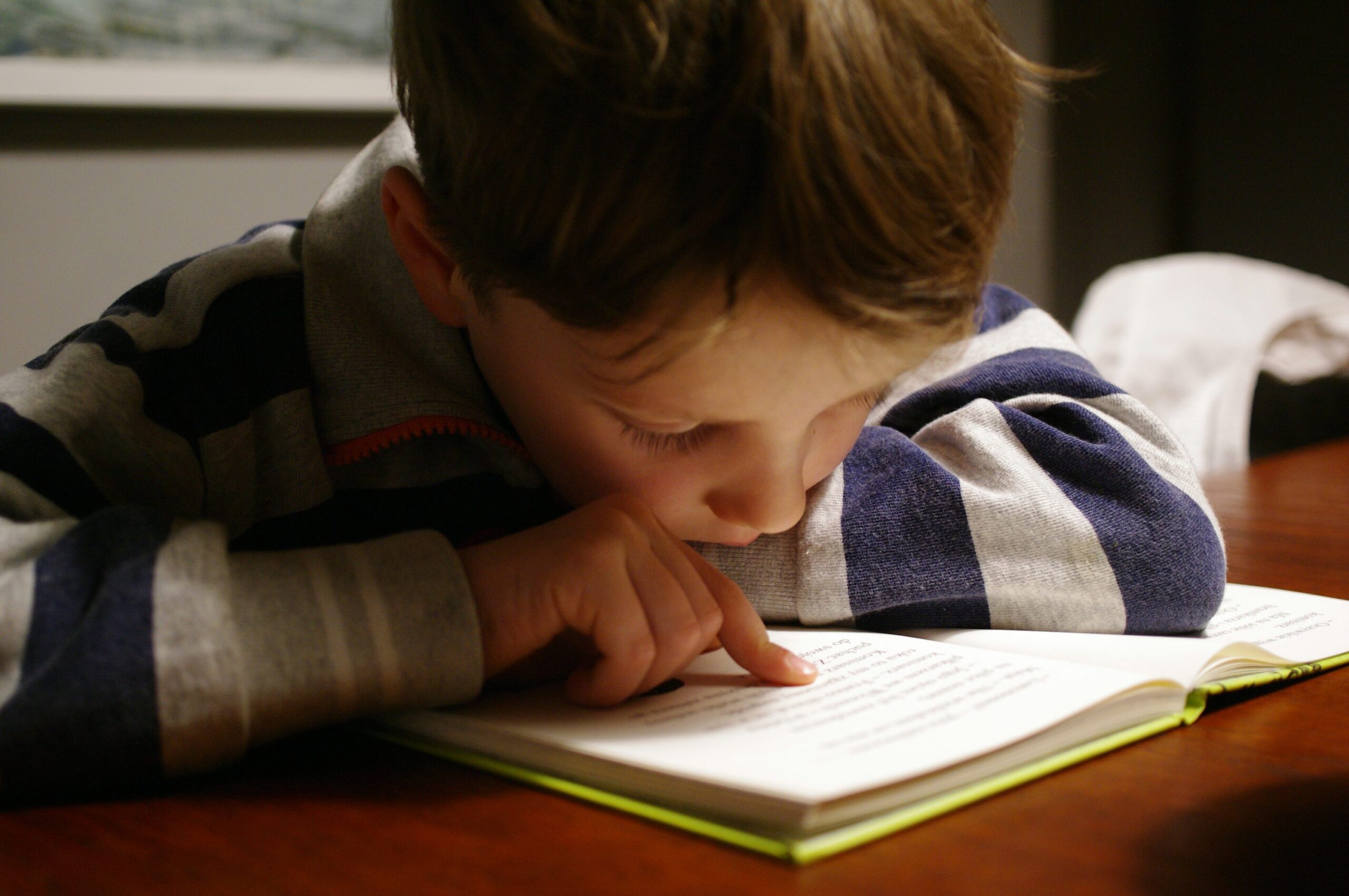 festival de lectura