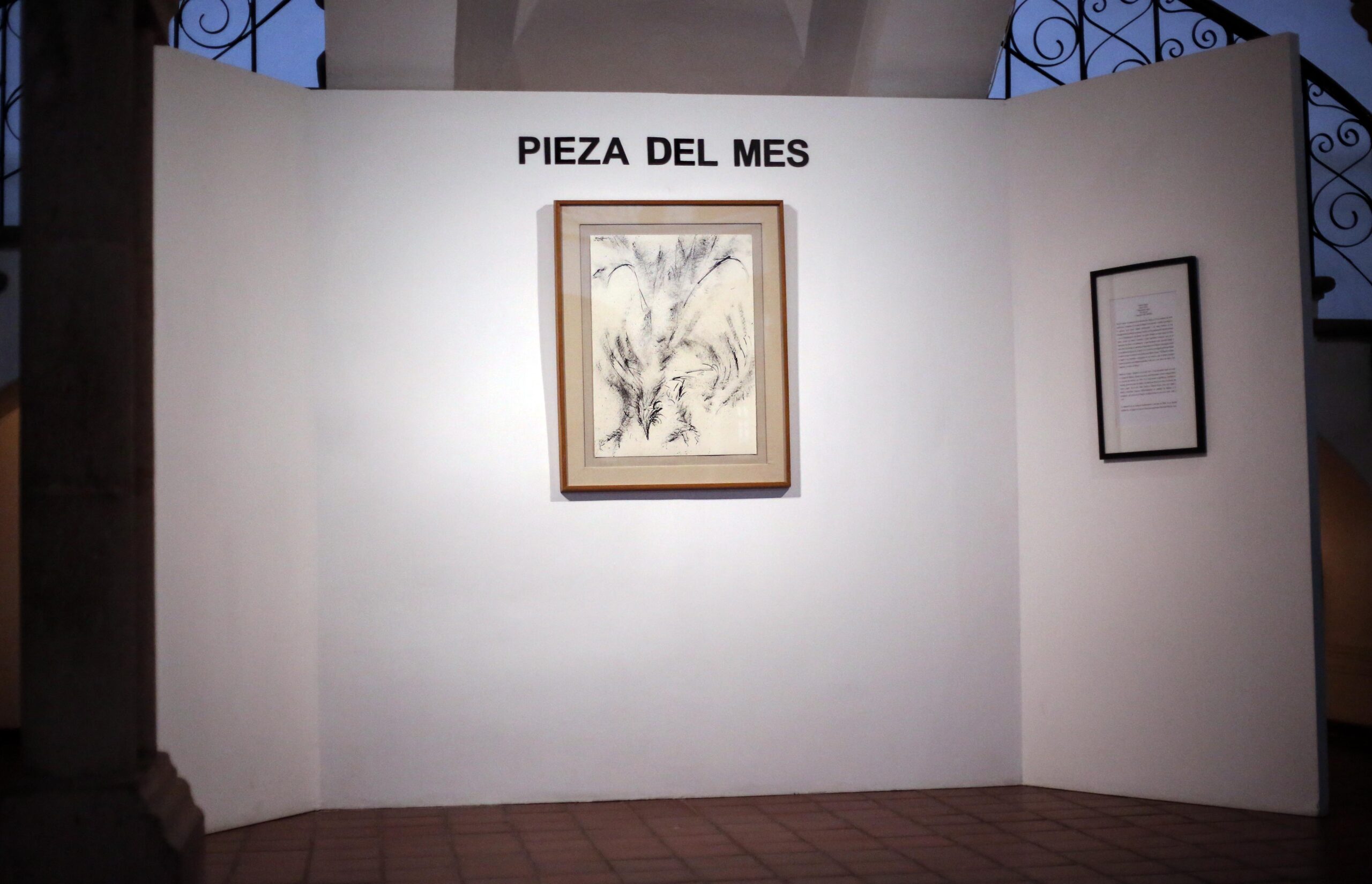 El dibujo “Gallo”, de Héctor Xavier, es la Pieza del Mes en el MASIN