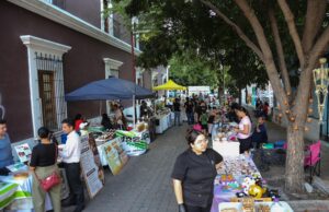 Invitan a la celebración por los  14 años del Paseo de las Artes