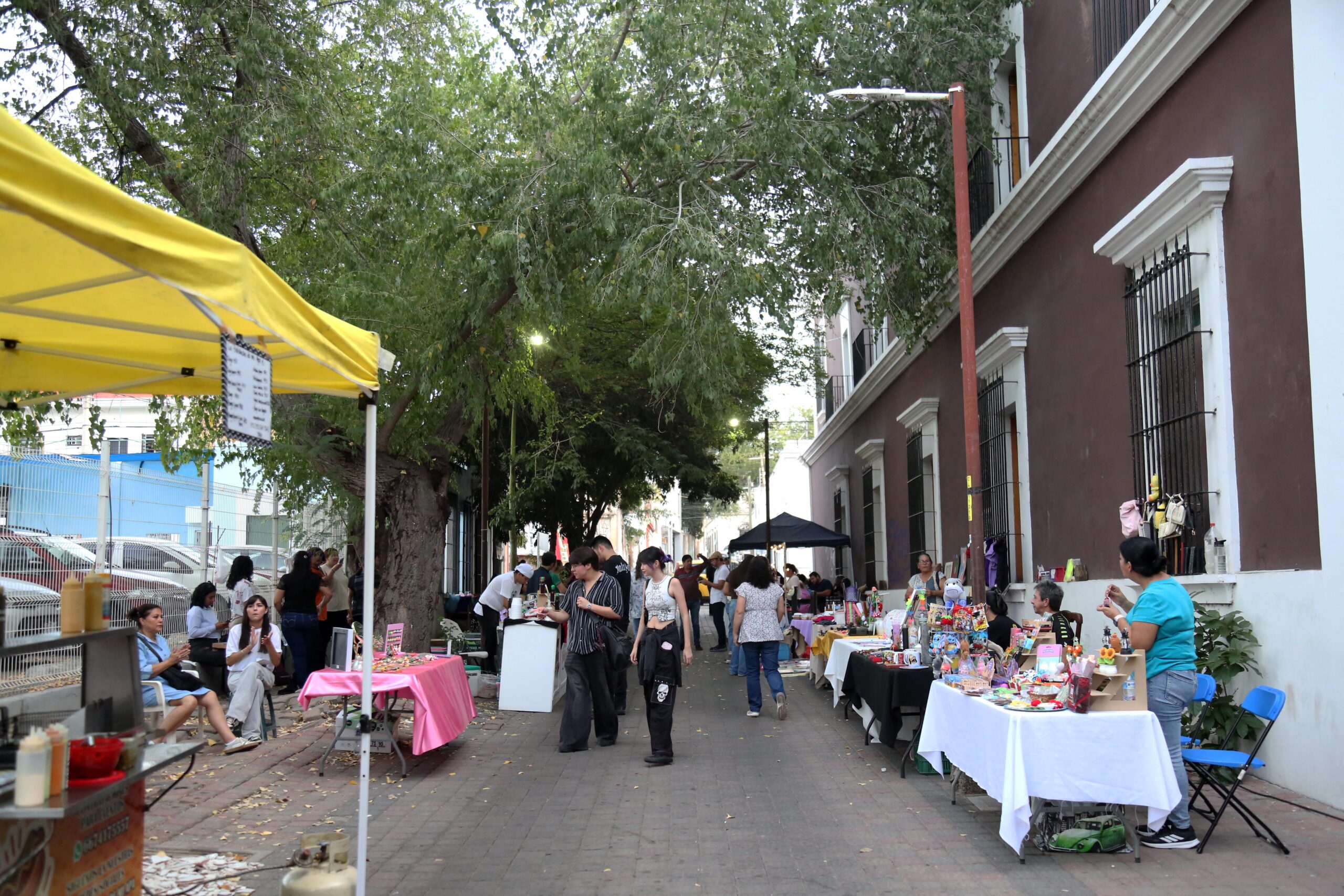 paseo de las Artes (2)