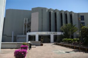 “Días de pájaros salvajes”, de Cecilia Pablos, llega a la Galería de Arte Álvaro Blancarte