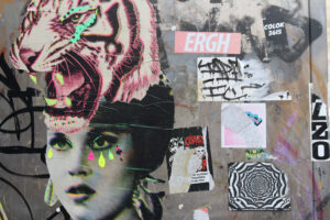 Invitan a ser parte del taller de collage “Creando recuerdos”
