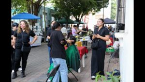 Paseo de las Artes edición 562, el 02 de Julio de 2026 -Video-