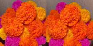 Habrá taller de “Elaboración de flores de papel” en la Sala de Formación Lectora del ISIC