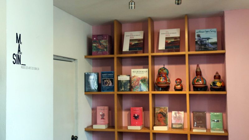 Biblioteca MASIN (5)